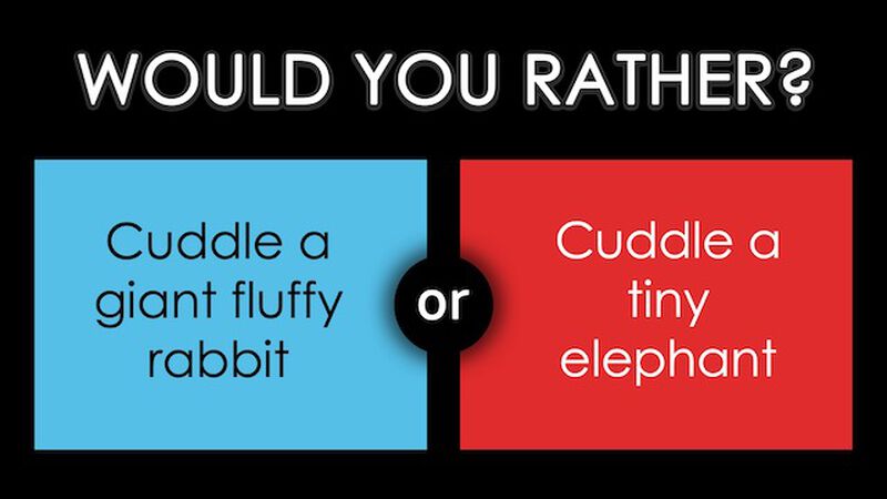 Would You Rather: Pets